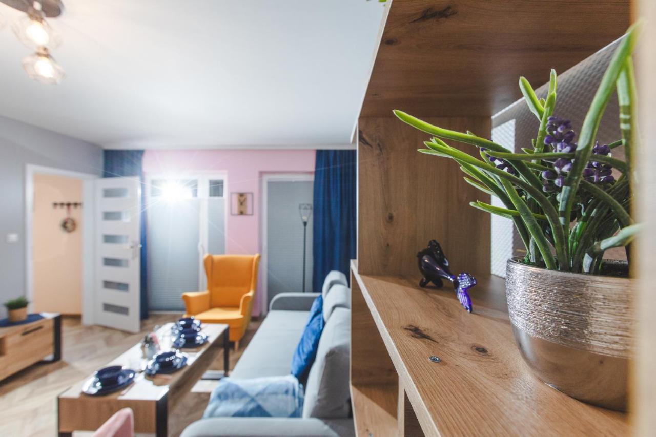Nowy Apartament A3-Pba- Kryty Basen - Dwie Sypialnie - Salon -Aneks -Duzy Taras 波别罗沃 外观 照片
